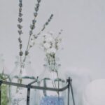 서면피부과, 당신의 아름다운 피부를 위한 전문가들